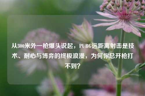 从300米外一枪爆头说起，PUBG远距离射击是技术、耐心与博弈的终极浪漫，为何你总开枪打不到？