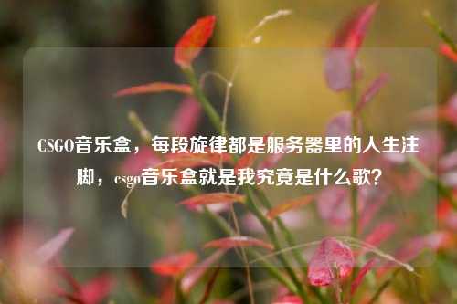 CSGO音乐盒,每段旋律都是服务器里的人生注脚,csgo音乐盒就是我究竟是什么歌?