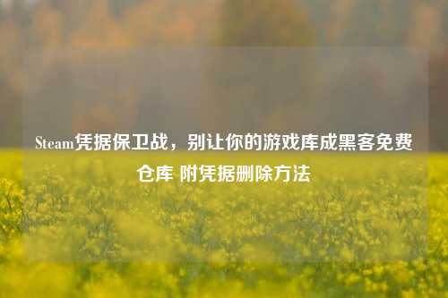Steam凭据保卫战,别让你的游戏库成黑客免费仓库 附凭据删除方法