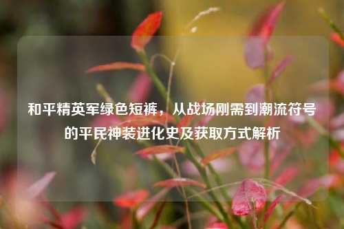 和平精英军绿色短裤,从战场刚需到潮流符号的平民神装进化史及获取方式解析