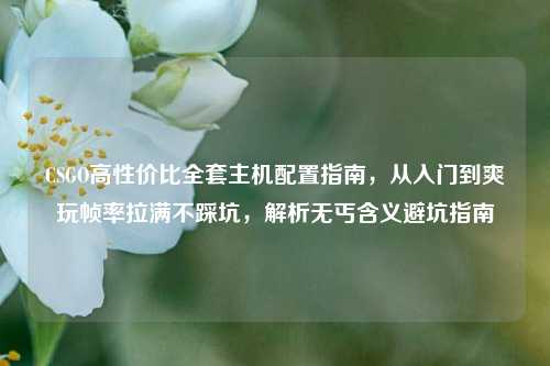 CSGO高性价比全套主机配置指南,从入门到爽玩帧率拉满不踩坑,解析无丐含义避坑指南