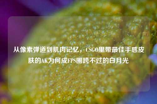 从像素弹道到肌肉记忆,CSGO里带最佳手感皮肤的AK为何成FPS圈跨不过的白月光