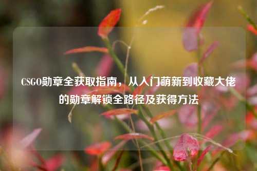 CSGO勋章全获取指南,从入门萌新到收藏大佬的勋章解锁全路径及获得方法
