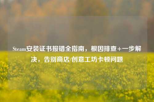 Steam安装证书报错全指南,根因排查+一步解决,告别商店/创意工坊卡顿问题