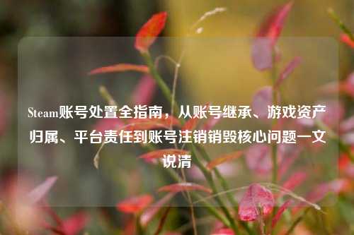 Steam账号处置全指南,从账号继承、游戏资产归属、平台责任到账号注销销毁核心问题一文说清