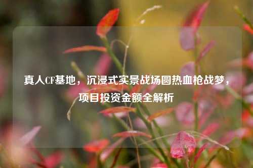 真人CF基地，沉浸式实景战场圆热血枪战梦，项目投资金额全解析