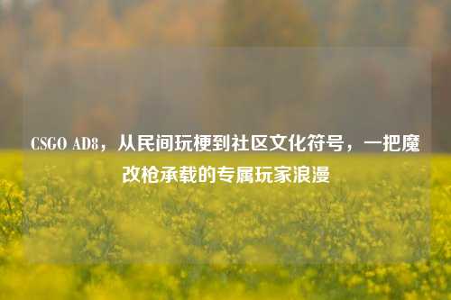 CSGO AD8，从民间玩梗到社区文化符号，一把魔改枪承载的专属玩家浪漫
