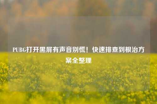 PUBG打开黑屏有声音别慌!快速排查到根治方案全整理