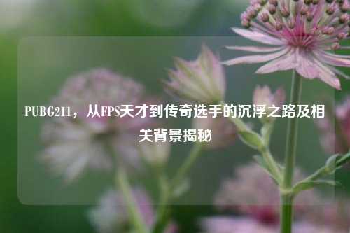 PUBG211，从FPS天才到传奇选手的沉浮之路及相关背景揭秘