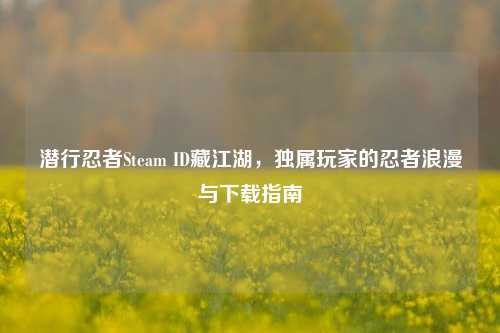 潜行忍者Steam ID藏江湖,独属玩家的忍者浪漫与下载指南