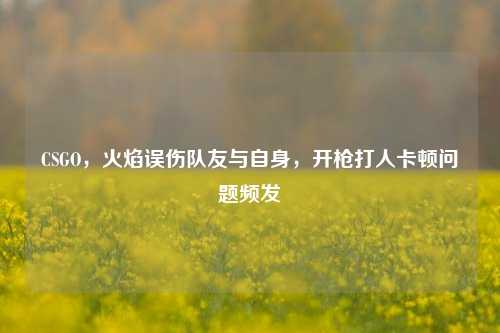 CSGO,火焰误伤队友与自身,开枪打人卡顿问题频发