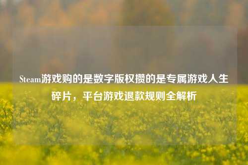 Steam游戏购的是数字版权攒的是专属游戏人生碎片,平台游戏退款规则全解析