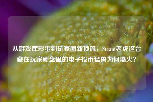 从游戏库彩蛋到玩家圈新顶流,Steam老虎这台藏在玩家硬盘里的电子投币猛兽为何爆火?