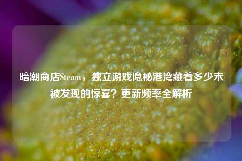 暗潮商店Steam，独立游戏隐秘港湾藏着多少未被发现的惊喜？更新频率全解析