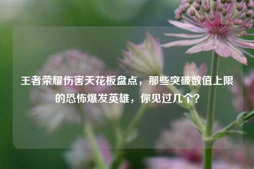 王者荣耀伤害天花板盘点，那些突破数值上限的恐怖爆发英雄，你见过几个？