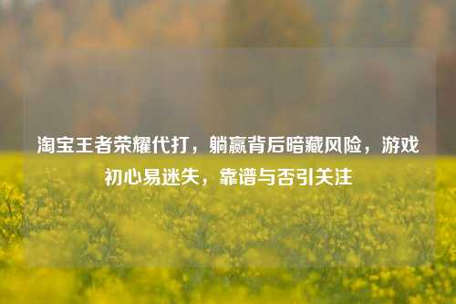 淘宝王者荣耀代打,躺赢背后暗藏风险,游戏初心易迷失,靠谱与否引关注
