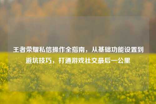 王者荣耀私信操作全指南,从基础功能设置到避坑技巧,打通游戏社交最后一公里