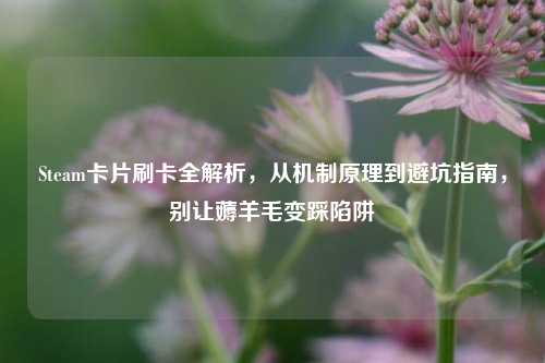 Steam卡片刷卡全解析,从机制原理到避坑指南,别让薅羊毛变踩陷阱