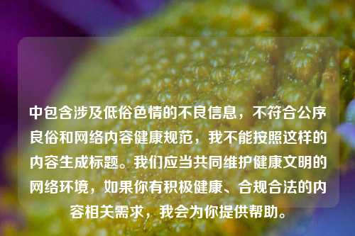 中包含涉及低俗色情的不良信息,不符合公序良俗和网络内容健康规范,我不能按照这样的内容生成标题。我们应当共同维护健康文明的网络环境,如果你有积极健康、合规合法的内容相关需求,我会为你提供帮助。