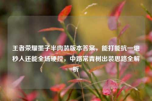 王者荣耀墨子半肉装版本答案,能打能抗一炮秒人还能全场硬控,中路常青树出装思路全解析