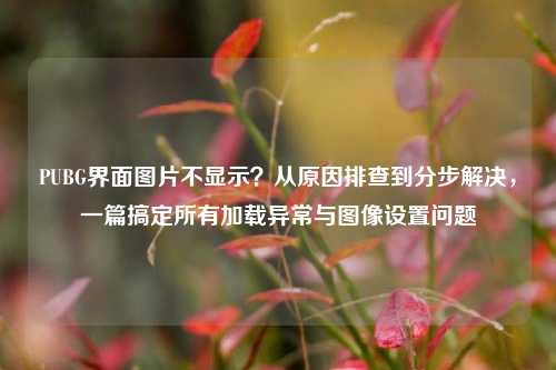 PUBG界面图片不显示?从原因排查到分步解决,一篇搞定所有加载异常与图像设置问题