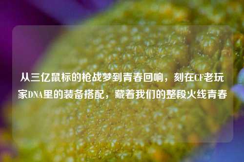从三亿鼠标的枪战梦到青春回响,刻在CF老玩家DNA里的装备搭配,藏着我们的整段火线青春