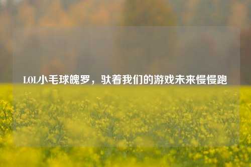 LOL小毛球魄罗，驮着我们的游戏未来慢慢跑