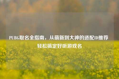 PUBG取名全指南，从萌新到大神的适配ID推荐 轻松搞定好听游戏名