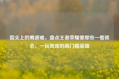 指尖上的蜀道难,盘点王者荣耀里那些一看就会、一玩就废的高门槛英雄