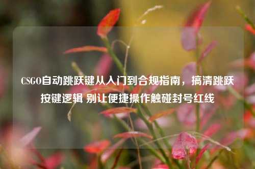 CSGO自动跳跃键从入门到合规指南,搞清跳跃按键逻辑 别让便捷操作触碰封号红线