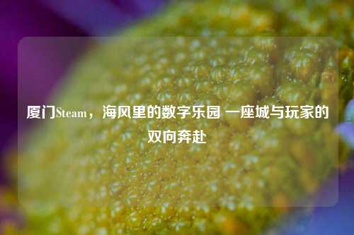 厦门Steam，海风里的数字乐园 一座城与玩家的双向奔赴