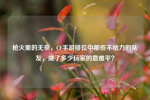 枪火里的无奈,CF手游排位中那些不给力的队友,成了多少玩家的意难平?