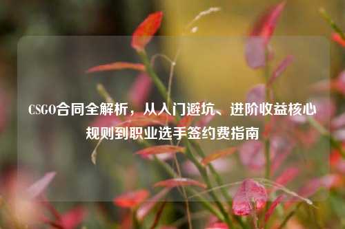 CSGO合同全解析，从入门避坑、进阶收益核心规则到职业选手签约费指南