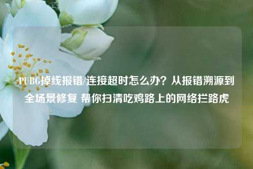 PUBG掉线报错/连接超时怎么办?从报错溯源到全场景修复 帮你扫清吃鸡路上的网络拦路虎