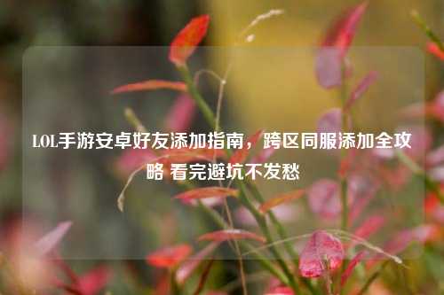 LOL手游安卓好友添加指南，跨区同服添加全攻略 看完避坑不发愁