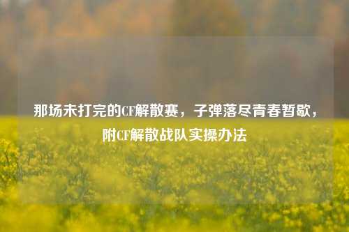 那场未打完的CF解散赛,子弹落尽青春暂歇,附CF解散战队实操办法