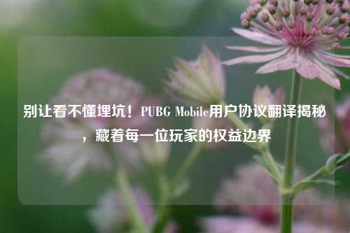 别让看不懂埋坑!PUBG Mobile用户协议翻译揭秘,藏着每一位玩家的权益边界