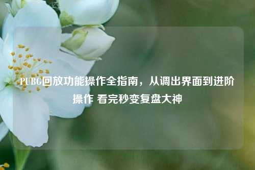 PUBG回放功能操作全指南，从调出界面到进阶操作 看完秒变复盘大神