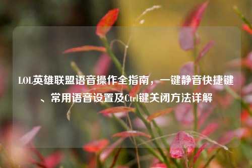 LOL英雄联盟语音操作全指南，一键静音快捷键、常用语音设置及Ctrl键关闭方法详解