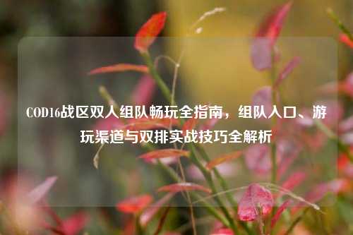 COD16战区双人组队畅玩全指南,组队入口、游玩渠道与双排实战技巧全解析