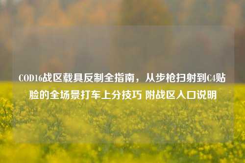 COD16战区载具反制全指南，从步枪扫射到C4贴脸的全场景打车上分技巧 附战区入口说明