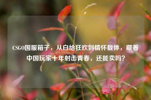 CSGO国服箱子，从白给狂欢到情怀载体，藏着中国玩家十年射击青春，还能卖吗？