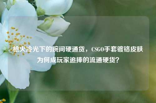 枪火冷光下的腕间硬通货,CSGO手套镀铬皮肤为何成玩家追捧的流通硬货?