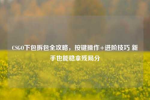 CSGO下包拆包全攻略,按键操作+进阶技巧 新手也能稳拿残局分