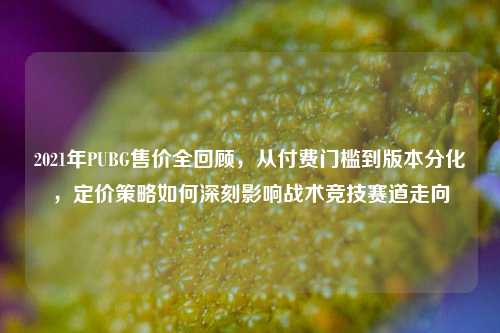 2021年PUBG售价全回顾,从付费门槛到版本分化,定价策略如何深刻影响战术竞技赛道走向