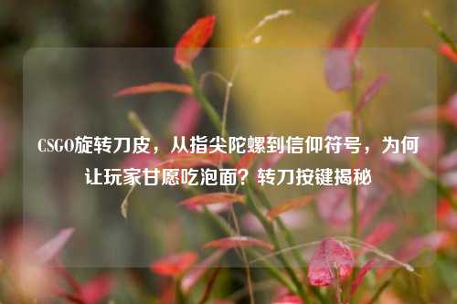 CSGO旋转刀皮，从指尖陀螺到信仰符号，为何让玩家甘愿吃泡面？转刀按键揭秘