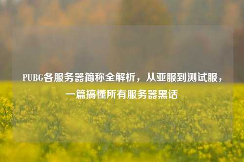 PUBG各服务器简称全解析,从亚服到测试服,一篇搞懂所有服务器黑话