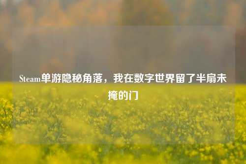 Steam单游隐秘角落,我在数字世界留了半扇未掩的门