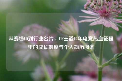 从赛场ID到行业名片,CF王道12年电竞热血征程里的成长刻度与个人简历图鉴