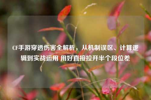 CF手游穿透伤害全解析,从机制误区、计算逻辑到实战运用 用好直接拉开半个段位差